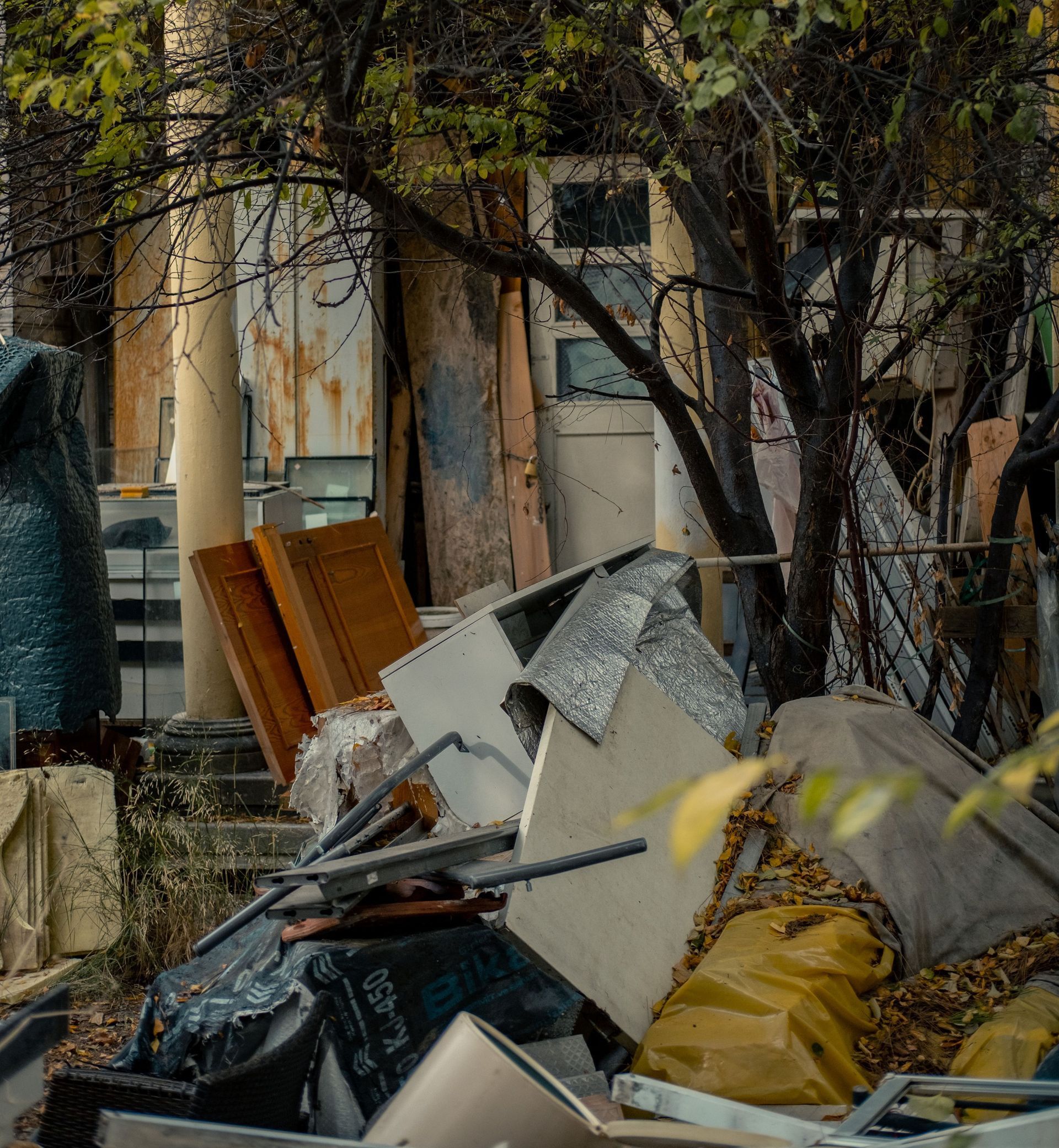Overgrown vegetation in an abandoned urban area with scattered debris